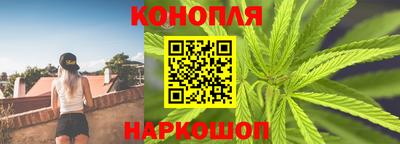 крисы Будённовск