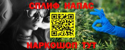 крисы Будённовск