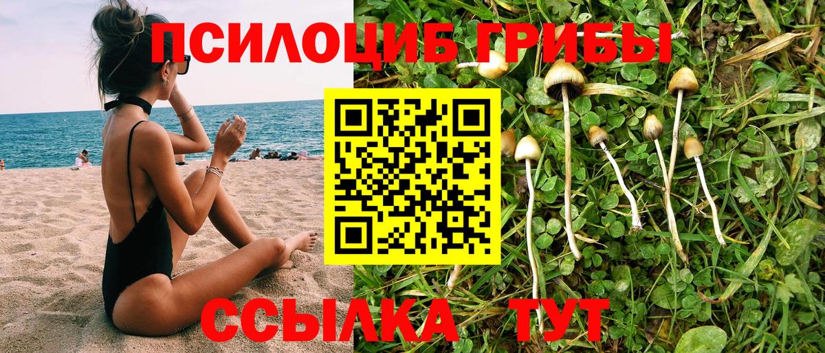 как найти наркотики  Вход с VPN  Медногорск  Псилоцибиновые грибы MAGIC MUSHROOMS 